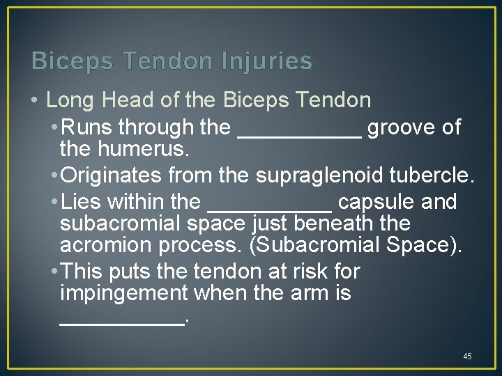 Biceps Tendon Injuries • Long Head of the Biceps Tendon • Runs through the