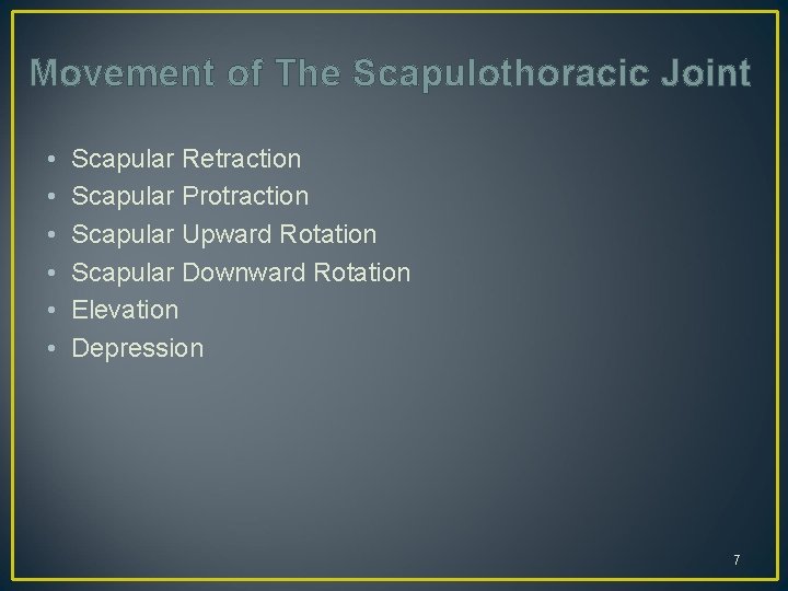 Movement of The Scapulothoracic Joint • • • Scapular Retraction Scapular Protraction Scapular Upward