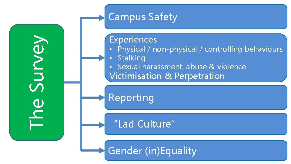 The Survey Blank box Campus Safety Experiences Blank box • Physical / non-physical /