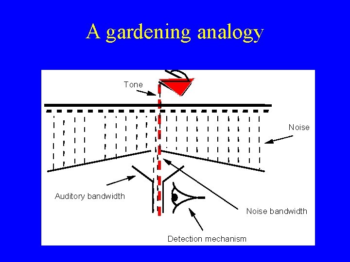 A gardening analogy Tone Noise Auditory bandwidth Noise bandwidth Detection mechanism 