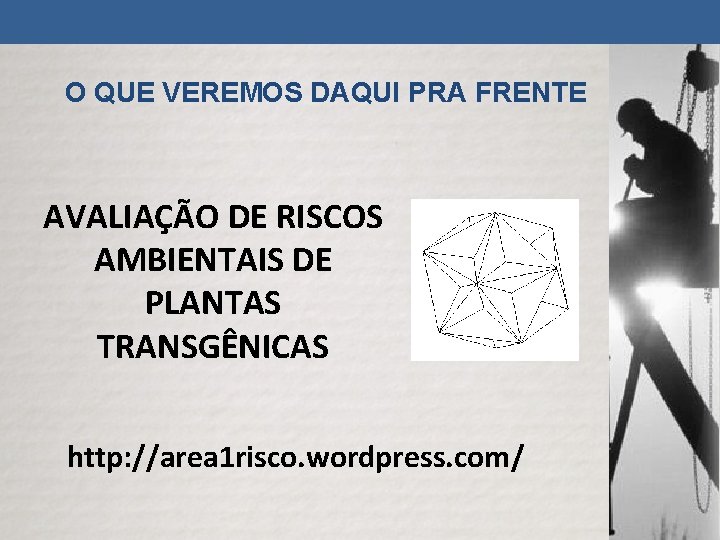 ANLISE DE RISCOS Identificao e Anlise do Risco