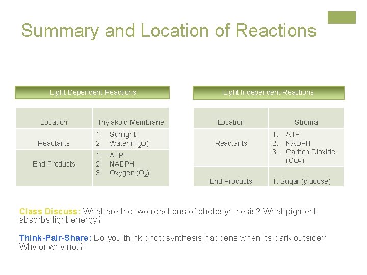 Summary and Location of Reactions Light Dependent Reactions Location Reactants End Products Thylakoid Membrane