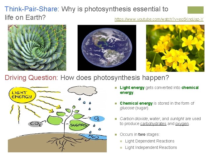 Think-Pair-Share: Why is photosynthesis essential to life on Earth? https: //www. youtube. com/watch? v=eo