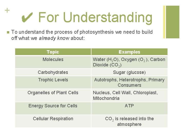 + n ✔ For Understanding To understand the process of photosynthesis we need to