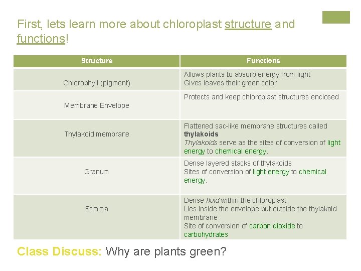First, lets learn more about chloroplast structure and functions! Structure Chlorophyll (pigment) Functions Allows