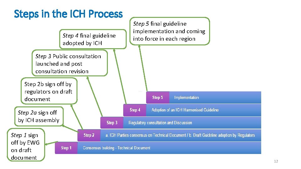 Steps in the ICH Process Step 4 final guideline adopted by ICH Step 5