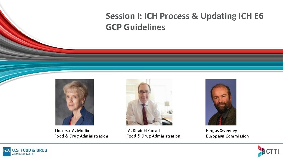 Session I: ICH Process & Updating ICH E 6 GCP Guidelines Theresa M. Mullin