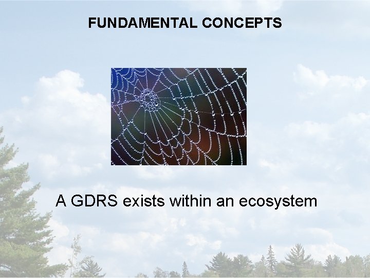 FUNDAMENTAL CONCEPTS A GDRS exists within an ecosystem 