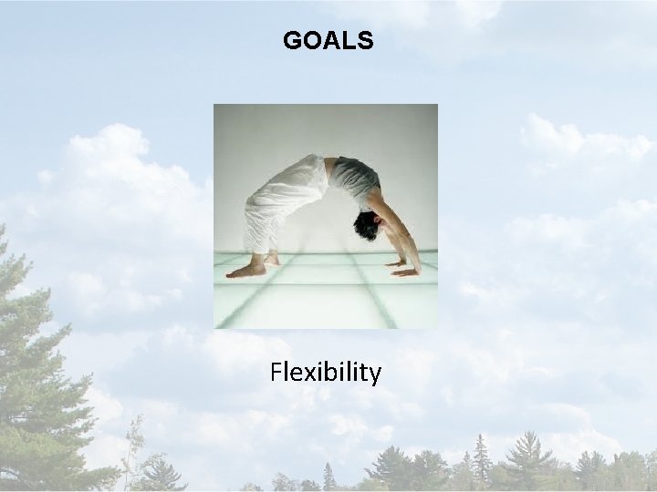 GOALS Flexibility 