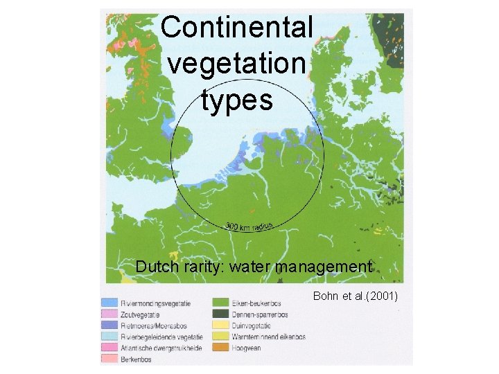 Continental vegetation types Dutch rarity: water management Bohn et al. (2001) 