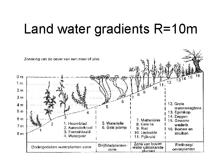 Land water gradients R=10 m 