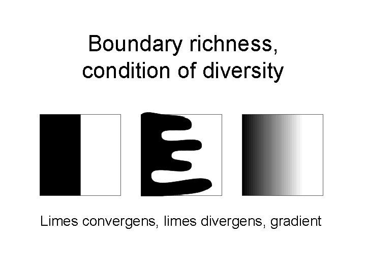 Boundary richness, condition of diversity Limes convergens, limes divergens, gradient 