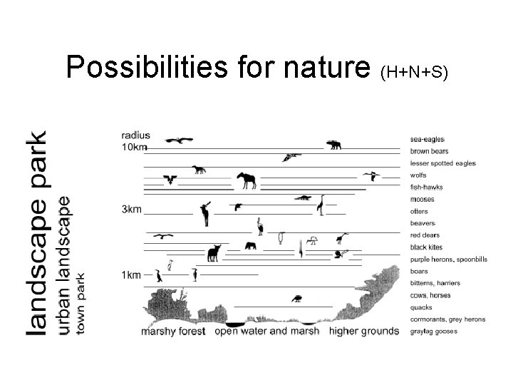 Possibilities for nature (H+N+S) 