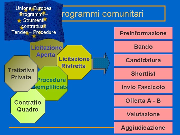 Unione Europea Programmi – Strumenti contrattuali Tender – Procedure Programmi comunitari Licitazione Aperta Licitazione