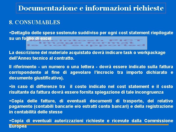 Documentazione e informazioni richieste 8. CONSUMABLES §Dettaglio delle spese sostenute suddiviso per ogni cost