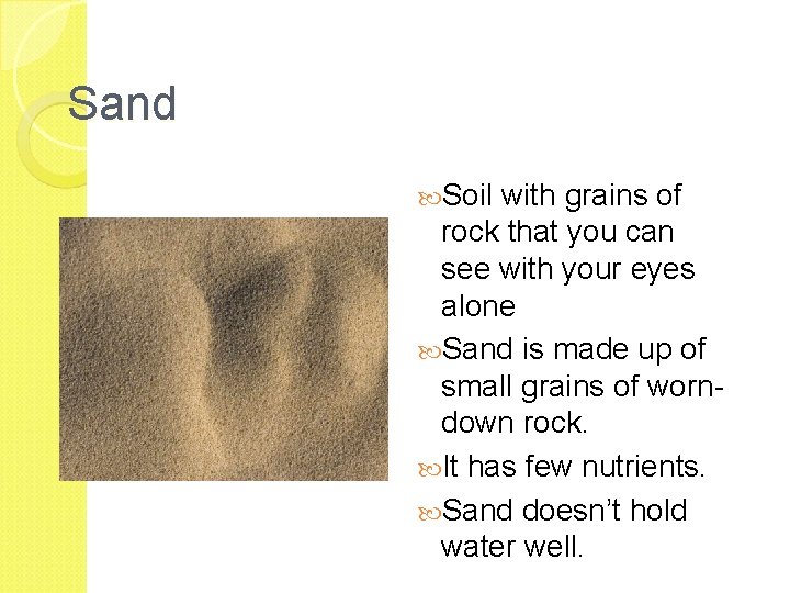 Sand Soil with grains of rock that you can see with your eyes alone