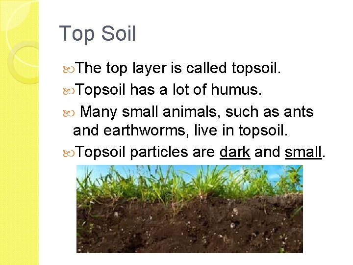 Top Soil The top layer is called topsoil. Topsoil has a lot of humus.