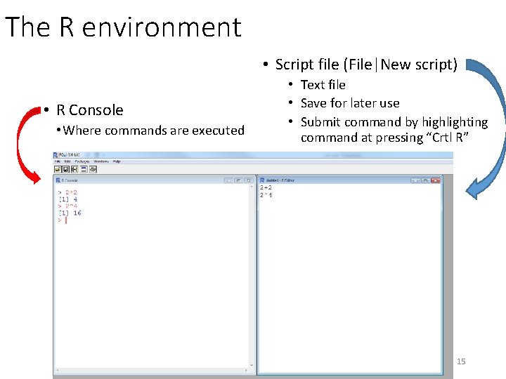 The R environment • Script file (File|New script) • R Console • Where commands