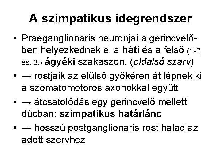 A szimpatikus idegrendszer • Praeganglionaris neuronjai a gerincvelőben helyezkednek el a háti és a