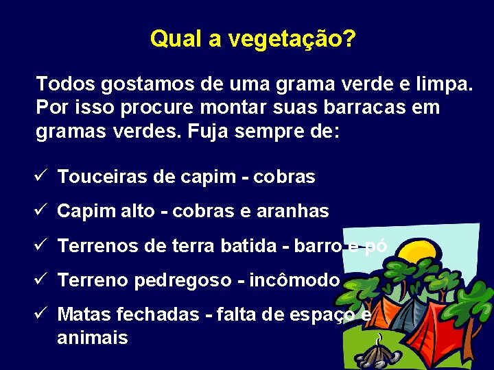 Qual a vegetação? Todos gostamos de uma grama verde e limpa. Por isso procure