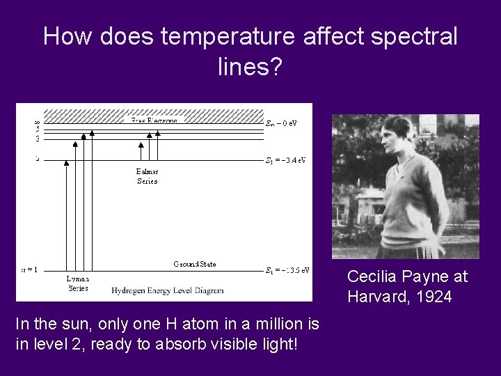 How does temperature affect spectral lines? Cecilia Payne at Harvard, 1924 In the sun,