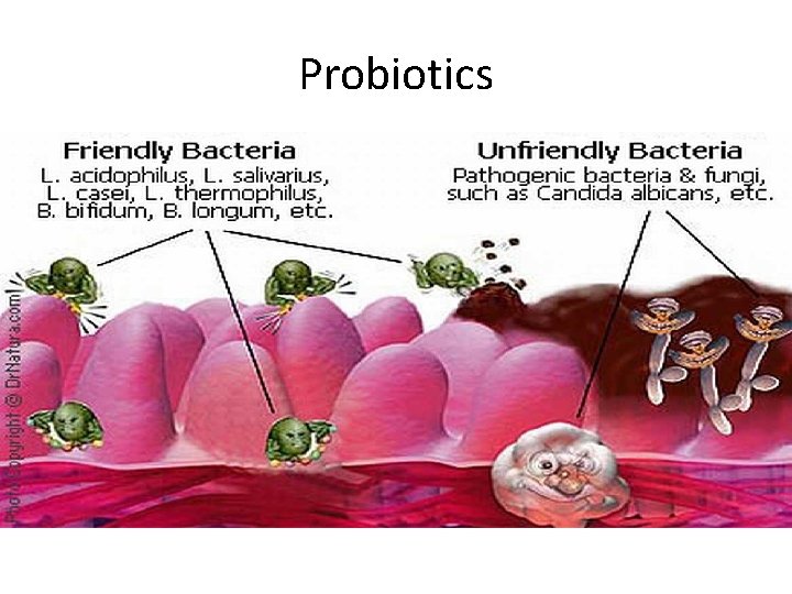 Probiotics Probiotics