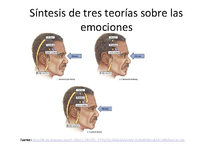 Síntesis de tres teorías sobre las emociones Fuente: http: //4. bp. blogspot. com/_t 9 Síntesis de tres teorías sobre las emociones Fuente: http: //4. bp. blogspot. com/_t 9