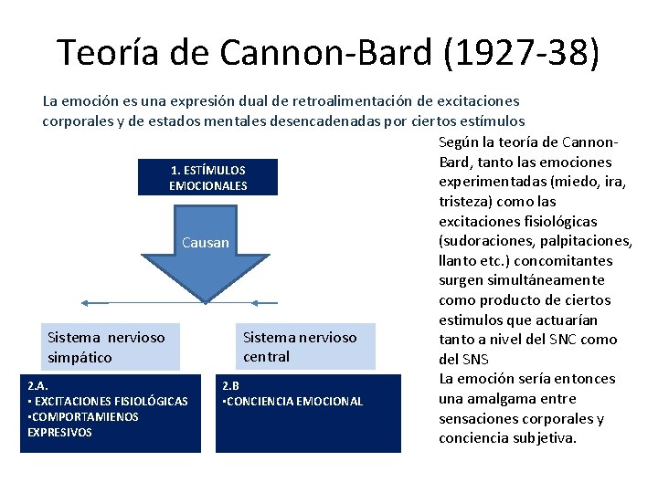 Teoría de Cannon-Bard (1927 -38) La emoción es una expresión dual de retroalimentación de Teoría de Cannon-Bard (1927 -38) La emoción es una expresión dual de retroalimentación de