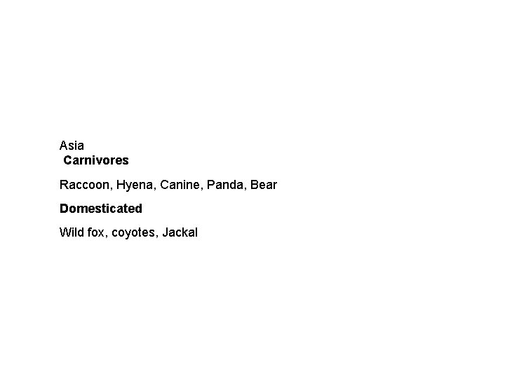 Asia Carnivores Raccoon, Hyena, Canine, Panda, Bear Domesticated Wild fox, coyotes, Jackal Asia Carnivores Raccoon, Hyena, Canine, Panda, Bear Domesticated Wild fox, coyotes, Jackal