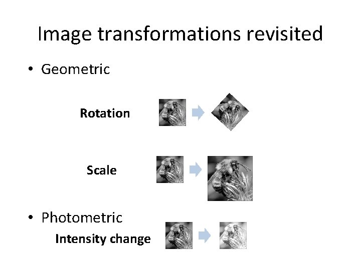 Image transformations revisited • Geometric Rotation Scale • Photometric Intensity change 