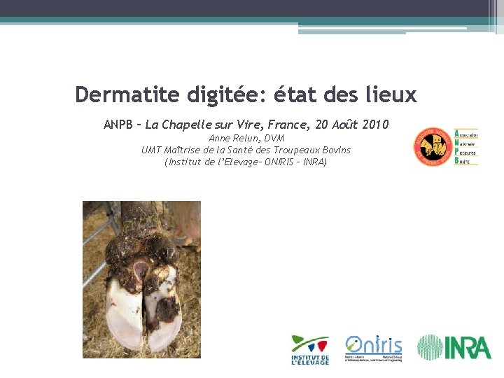 Dermatite digitée: état des lieux ANPB – La Chapelle sur Vire, France, 20 Août