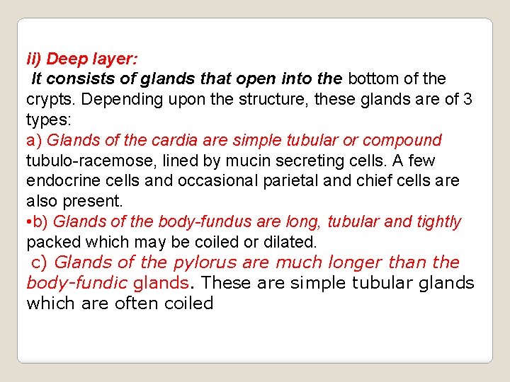 ii) Deep layer: It consists of glands that open into the bottom of the