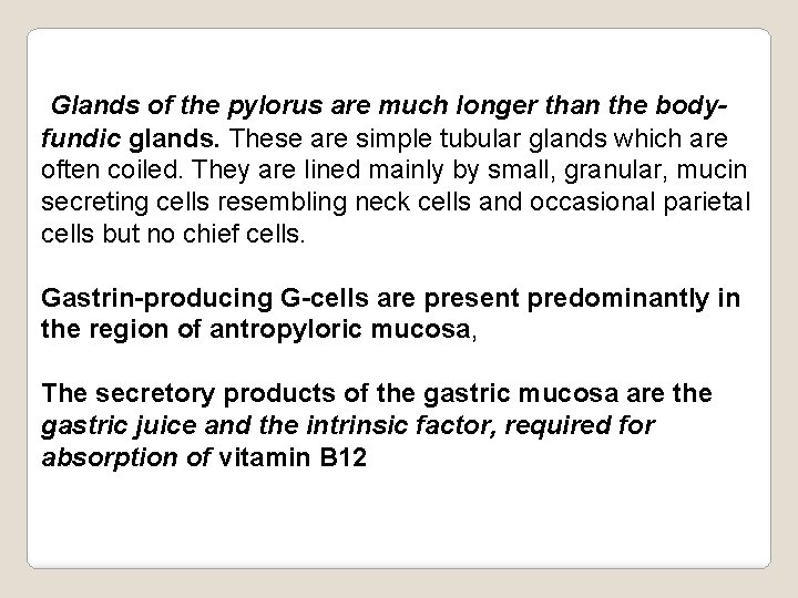 Glands of the pylorus are much longer than the bodyfundic glands. These are simple