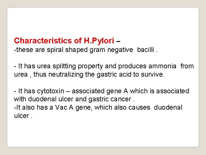 Characteristics of H. Pylori – -these are spiral shaped gram negative bacilli. - It