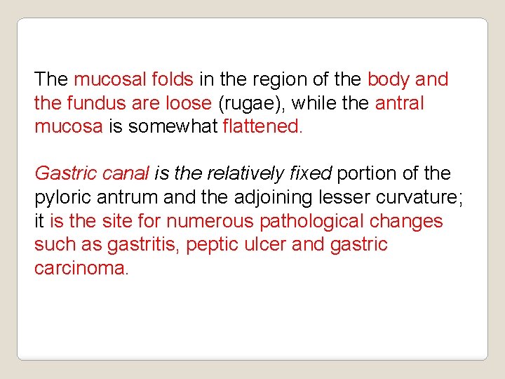 The mucosal folds in the region of the body and the fundus are loose