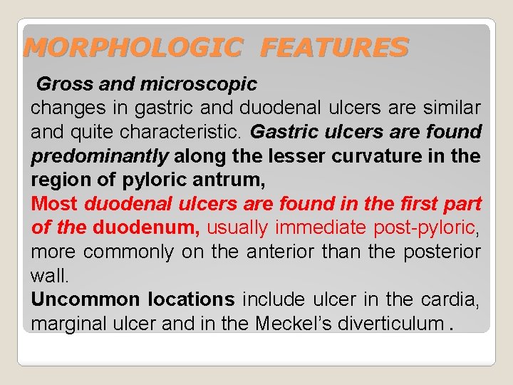 MORPHOLOGIC FEATURES Gross and microscopic changes in gastric and duodenal ulcers are similar and