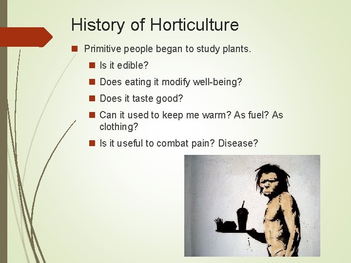 History of Horticulture n Primitive people began to study plants. n Is it edible?