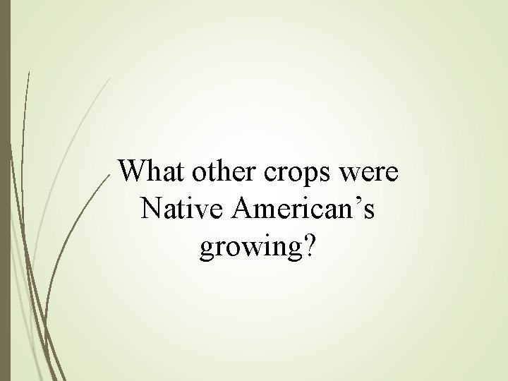 What other crops were Native American’s growing? What other crops were Native American’s growing?