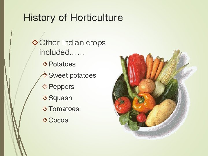 History of Horticulture Other Indian crops included…… Potatoes Sweet potatoes Peppers Squash Tomatoes Cocoa