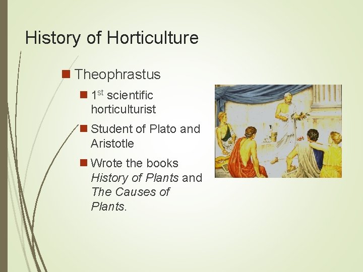 History of Horticulture n Theophrastus n 1 st scientific horticulturist n Student of Plato