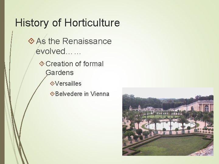 History of Horticulture As the Renaissance evolved…… Creation of formal Gardens Versailles Belvedere in