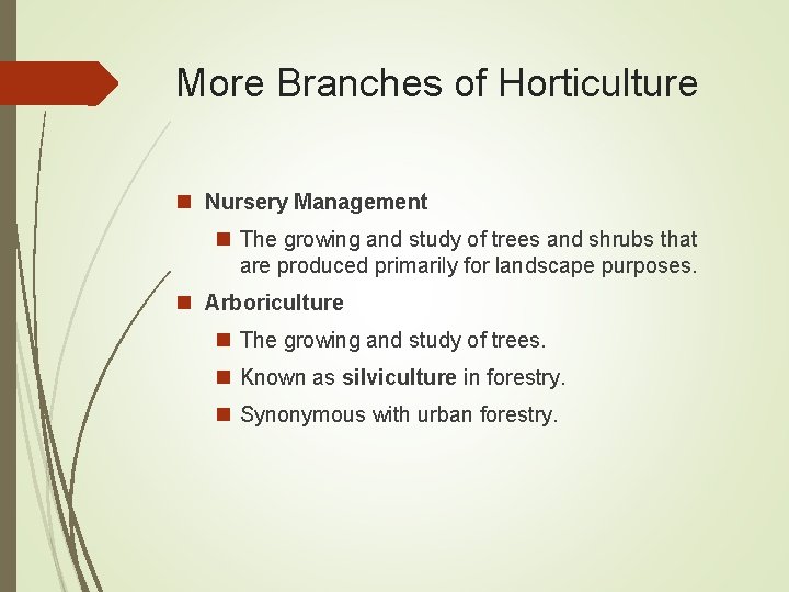 More Branches of Horticulture n Nursery Management n The growing and study of trees