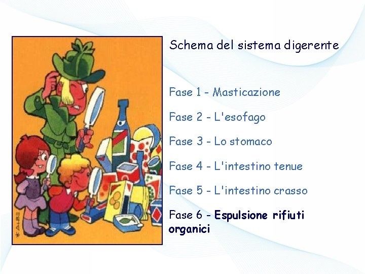 Schema del sistema digerente Fase 1 - Masticazione Fase 2 - L'esofago Fase 3