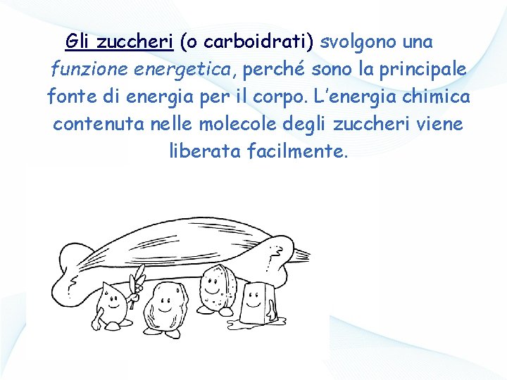 Gli zuccheri (o carboidrati) svolgono una funzione energetica, perché sono la principale fonte di