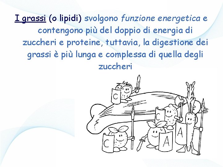 I grassi (o lipidi) svolgono funzione energetica e contengono più del doppio di energia