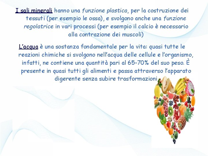 I sali minerali hanno una funzione plastica, per la costruzione dei tessuti (per esempio