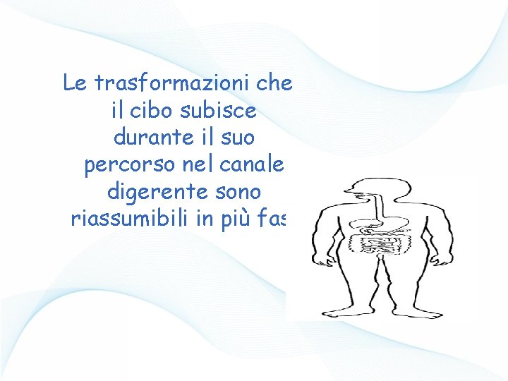 Le trasformazioni che il cibo subisce durante il suo percorso nel canale digerente sono