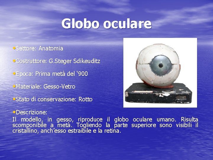 Globo oculare • Settore: Anatomia • Costruttore: G. Steger Sdikeuditz • Epoca: Prima metà