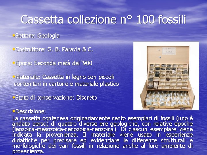 Cassetta collezione n° 100 fossili • Settore: Geologia • Costruttore: G. B. Paravia &