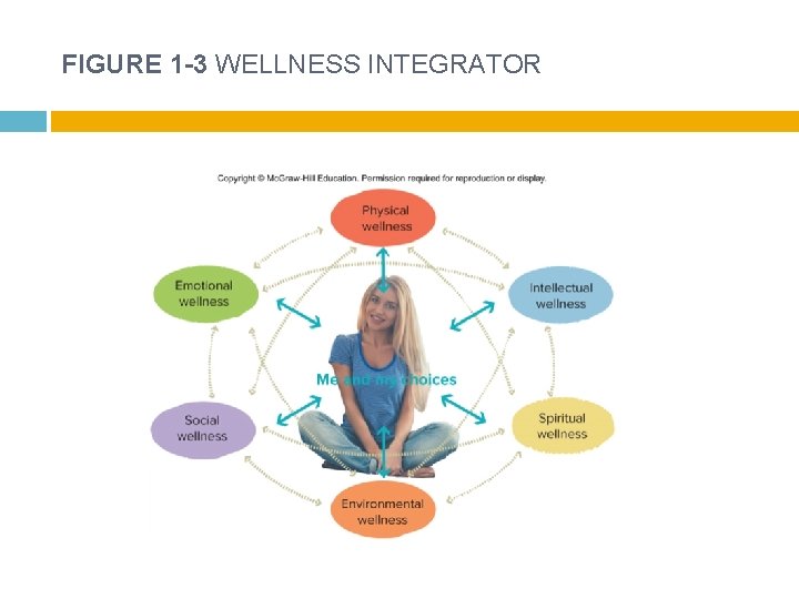 FIGURE 1 -3 WELLNESS INTEGRATOR 